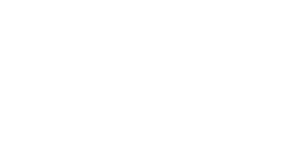 SoftPro logo — dak- en gevelreiniging met softwash